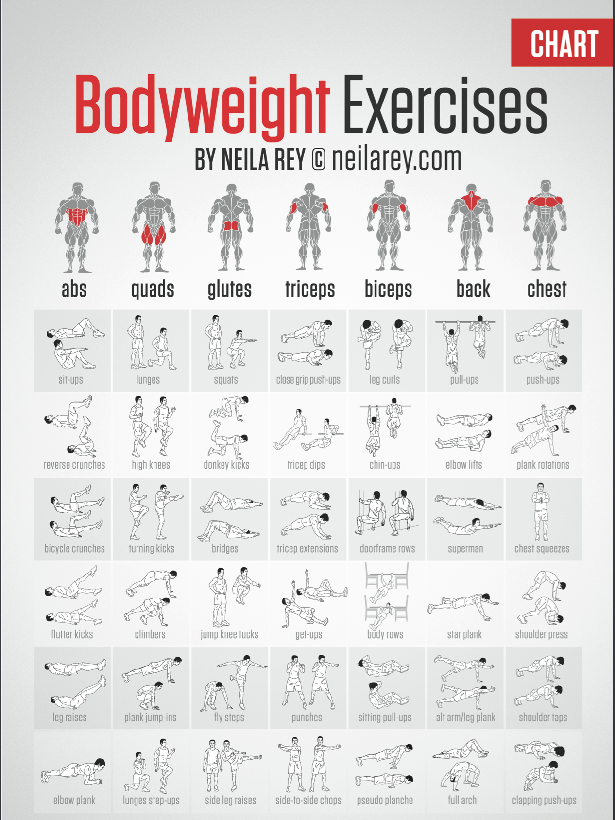 free download exercise workouts